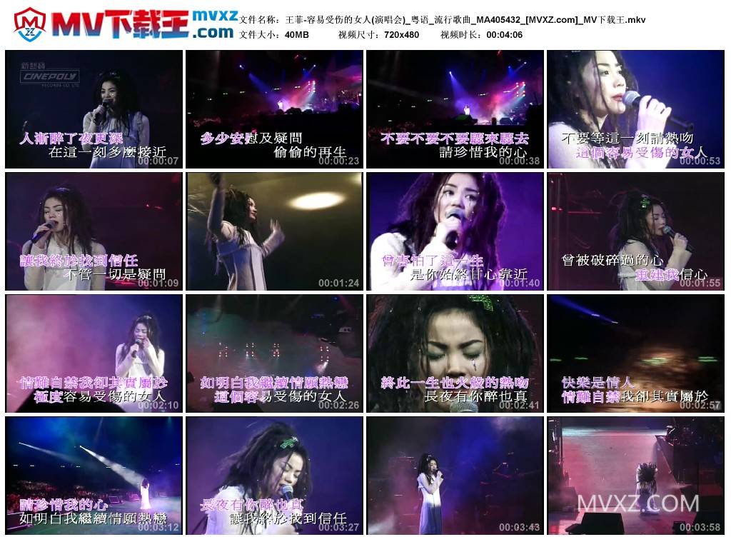 王菲-容易受伤的女人(演唱会)_粤语_流行歌曲_MA405432